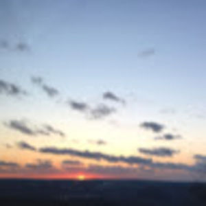 Meet your Posher, Lily